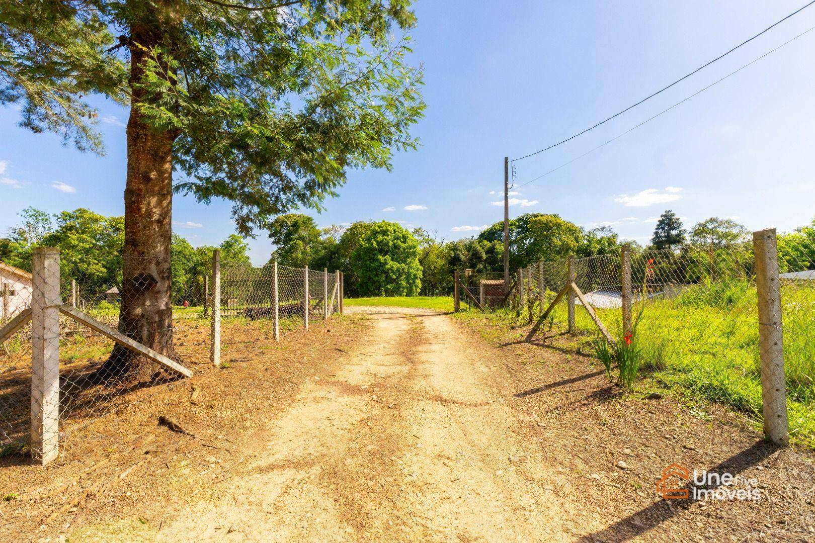 Chácara, 3 quartos, 9075 m² - Foto 5