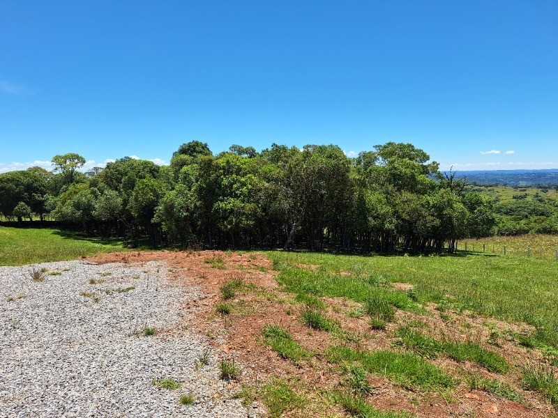 Sítio, 2 hectares - Foto 1