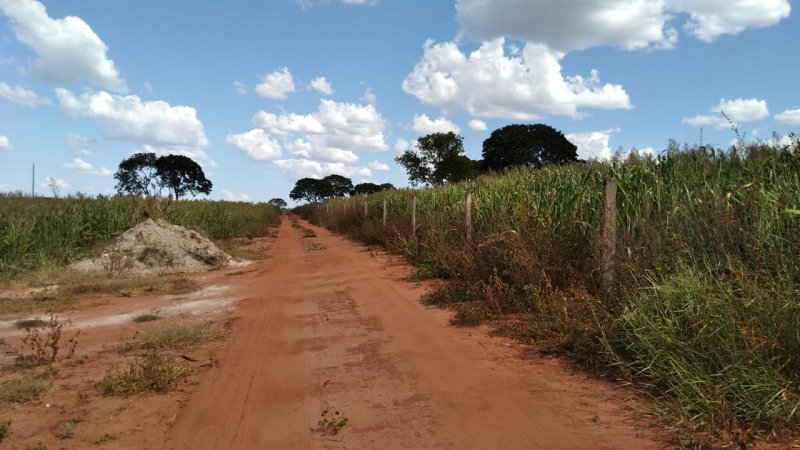Fazenda, 41 hectares - Foto 7
