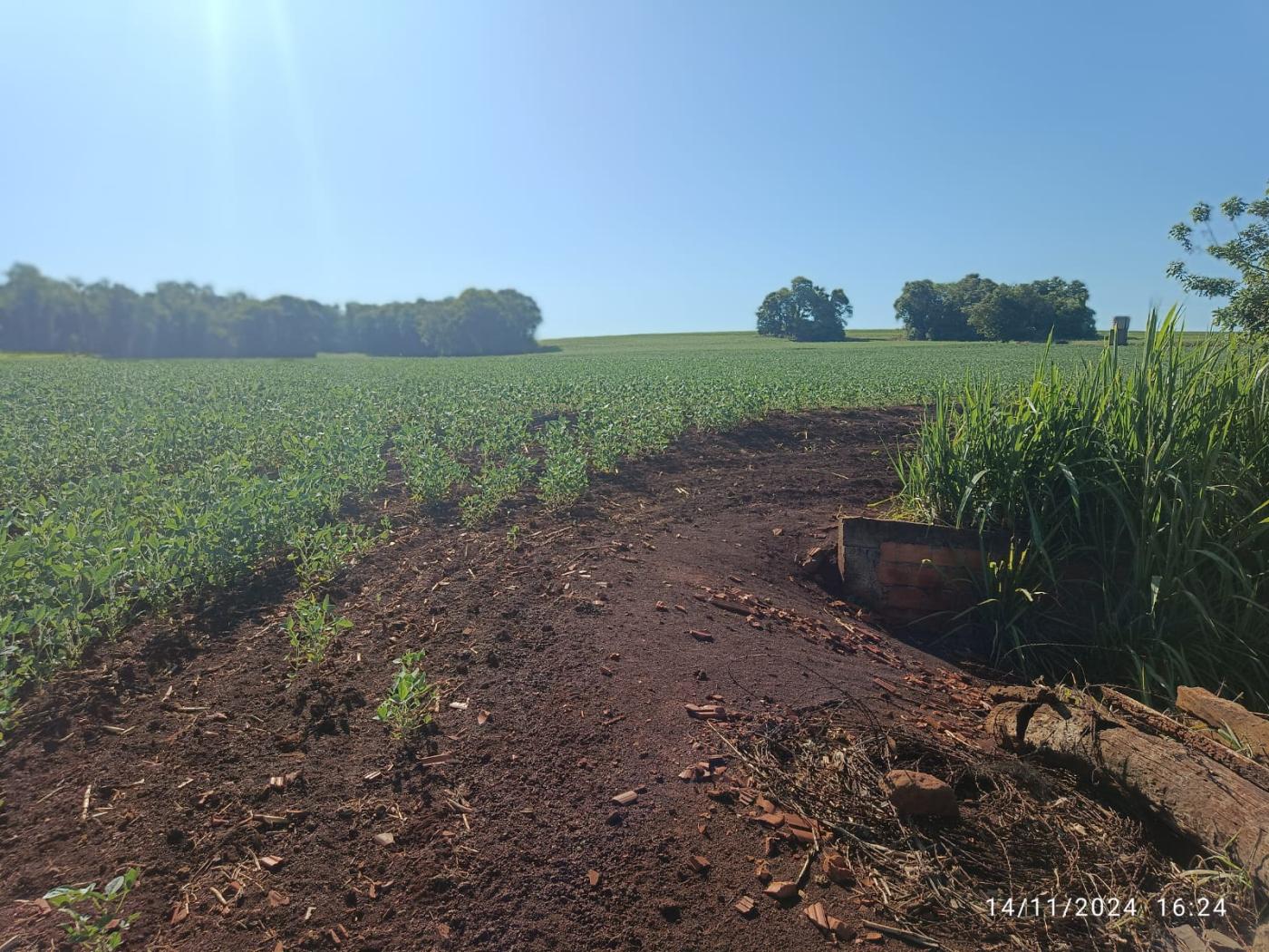 Fazenda à venda, 81160m² - Foto 16