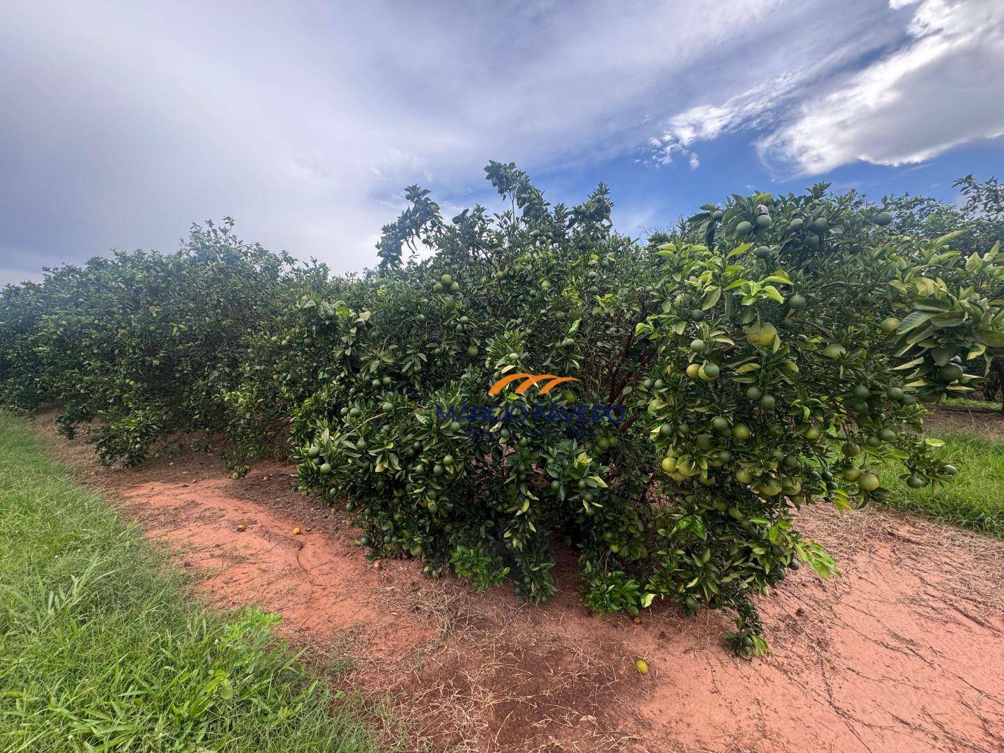 Fazenda à venda, 9776800M2 - Foto 1