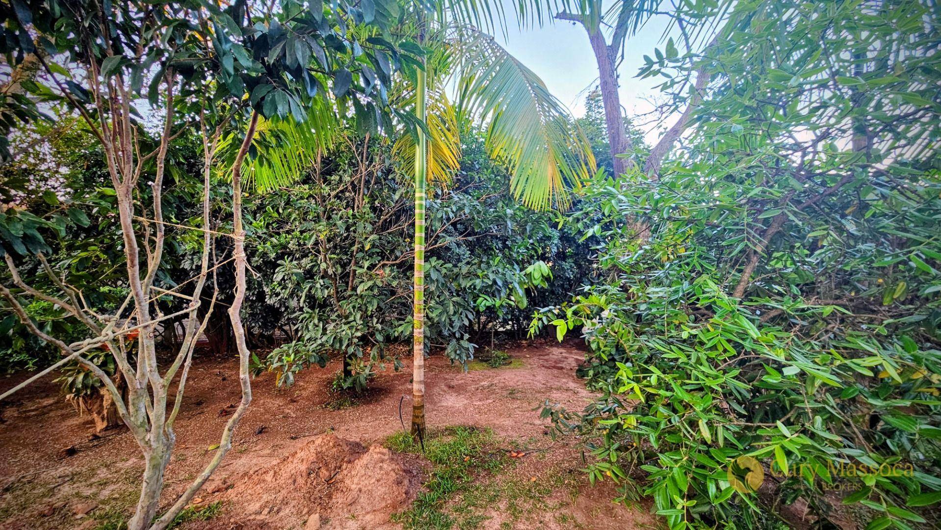 Chácara, 3 quartos, 1000 m² - Foto 4