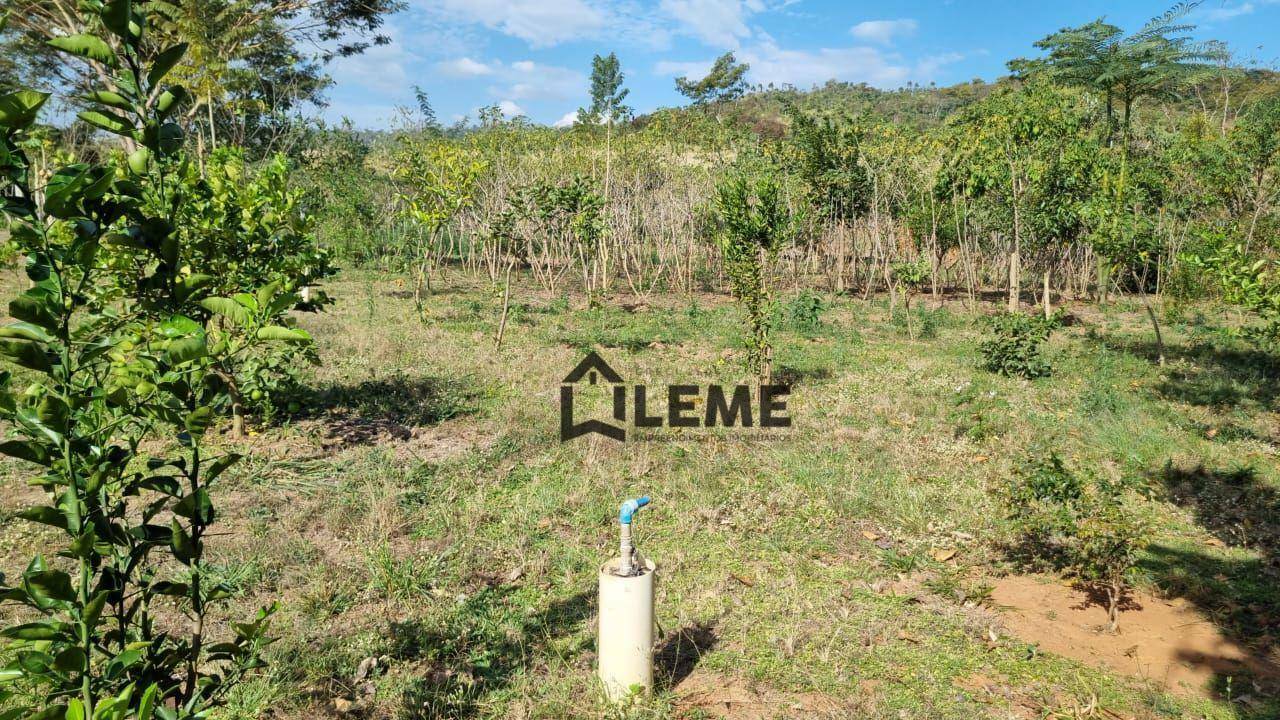 Fazenda à venda com 2 quartos, 4000M2 - Foto 3