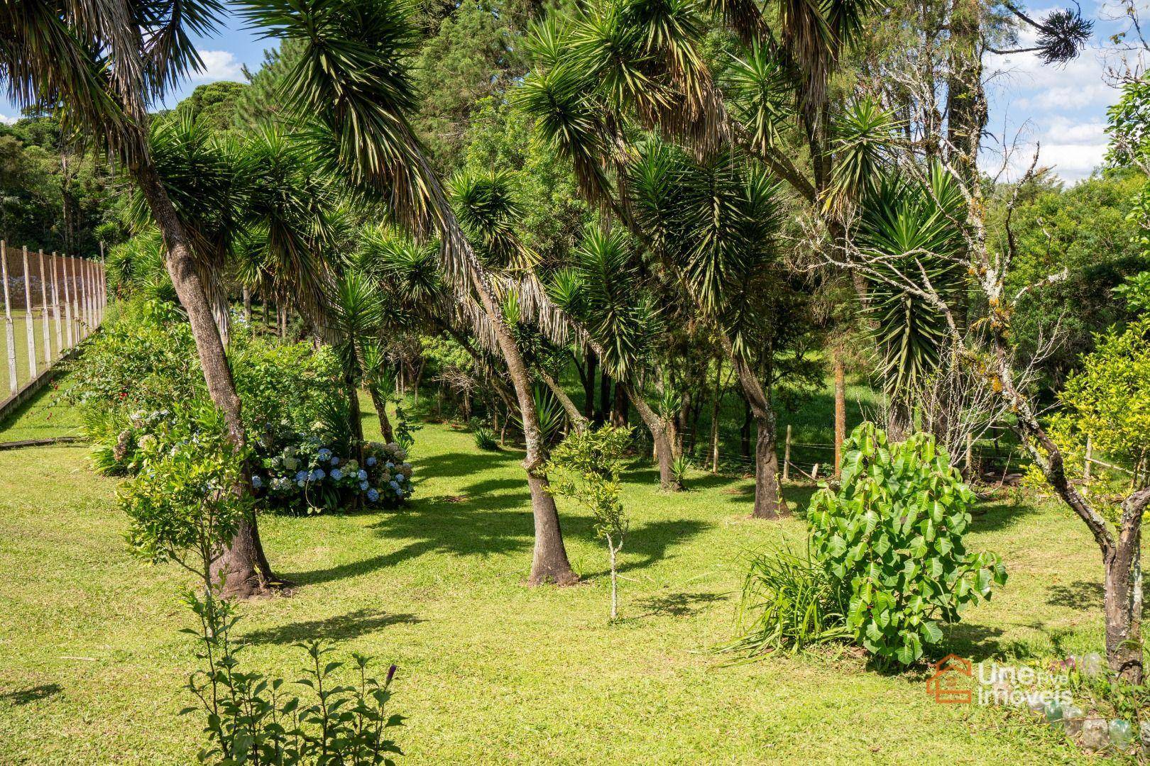 Casa à venda com 3 quartos, 300m² - Foto 18