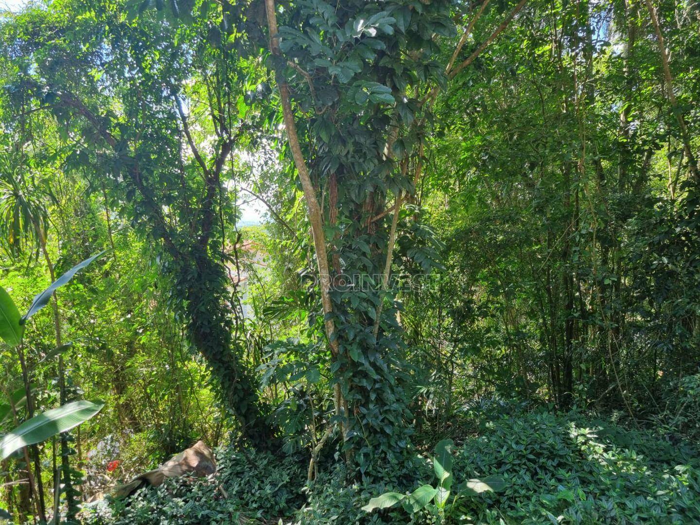 Loteamento e Condomínio à venda, 540M2 - Foto 25