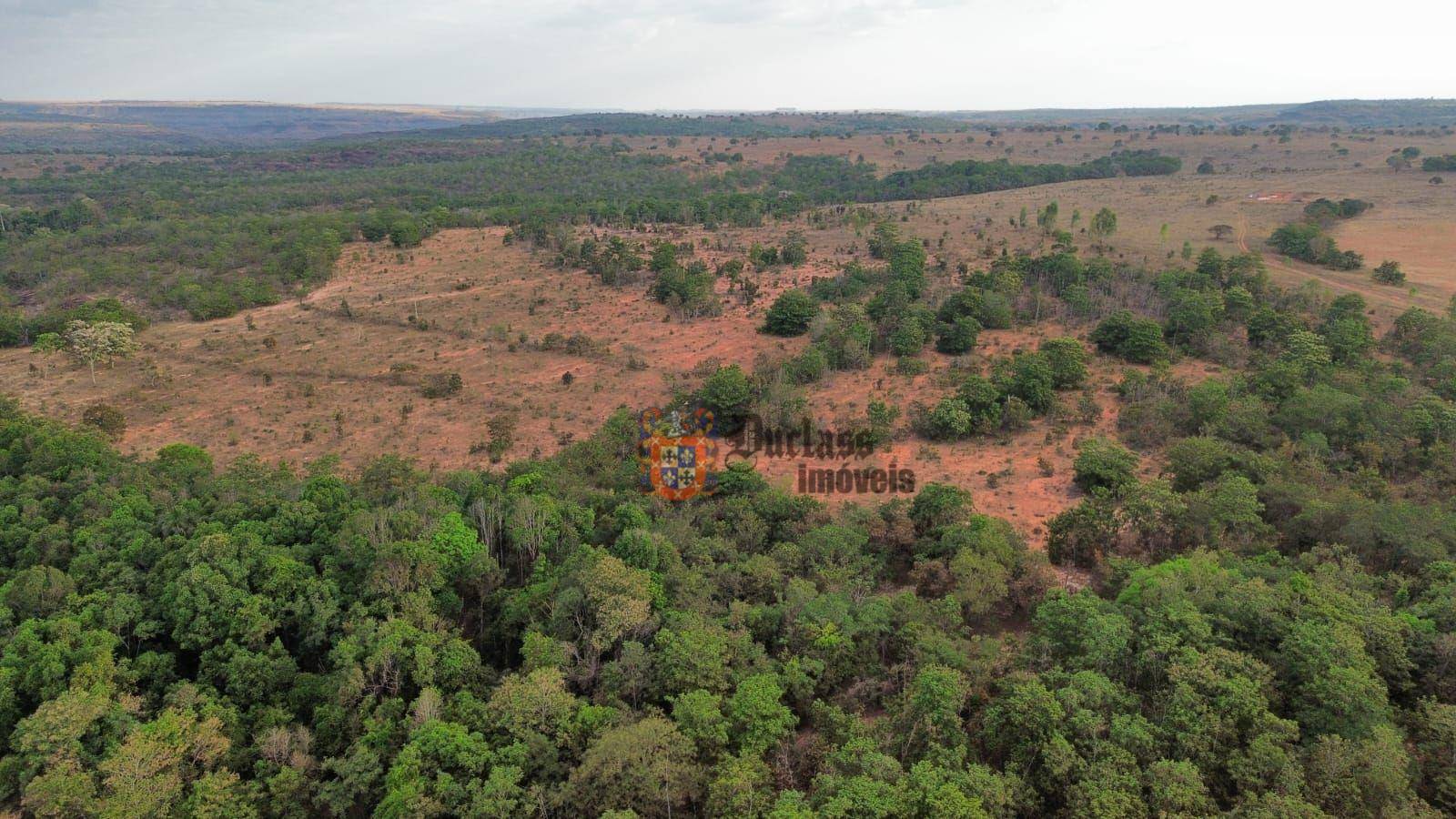 Fazenda, 3125 hectares - Foto 2