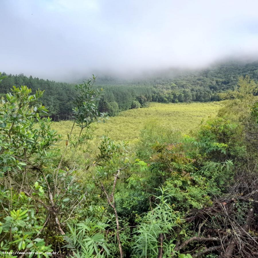 Fazenda à venda, 10m² - Foto 3