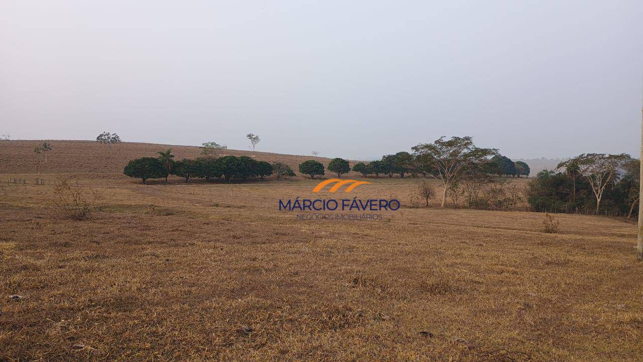 Fazenda, 121 hectares - Foto 11