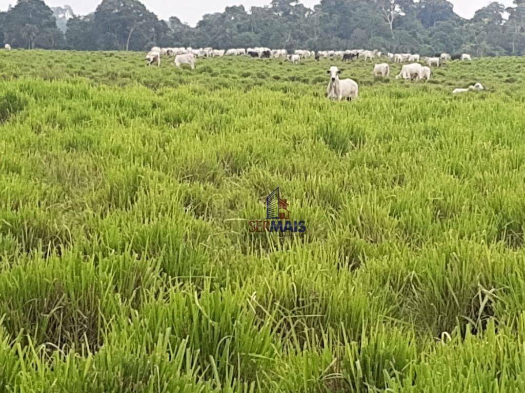 Fazenda à venda com 1 quarto, 31944000M2 - Foto 8