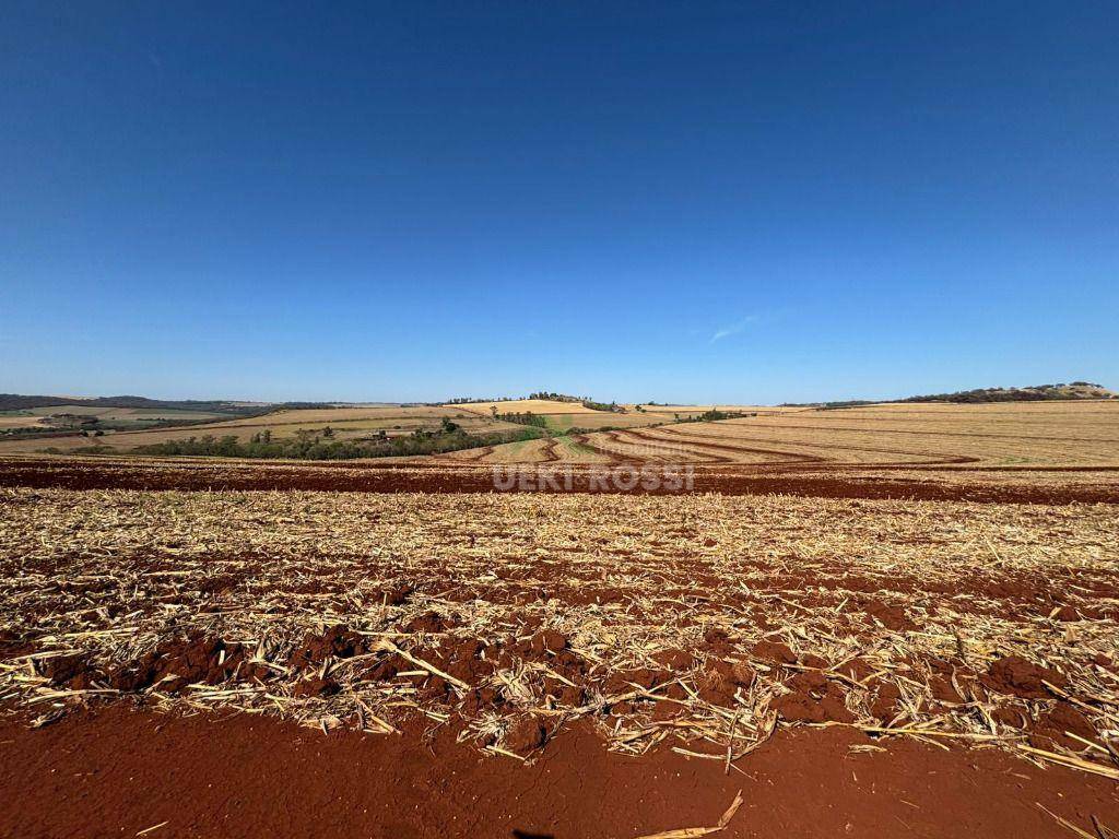 Fazenda, 232 hectares - Foto 1