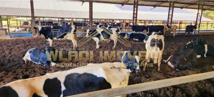 Fazenda à venda com 7 quartos, 196m² - Foto 6