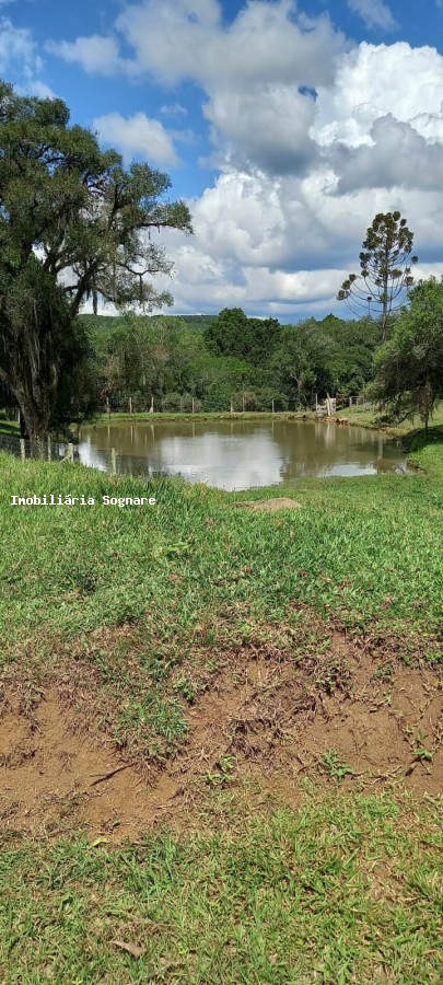 Terreno à venda - Foto 14