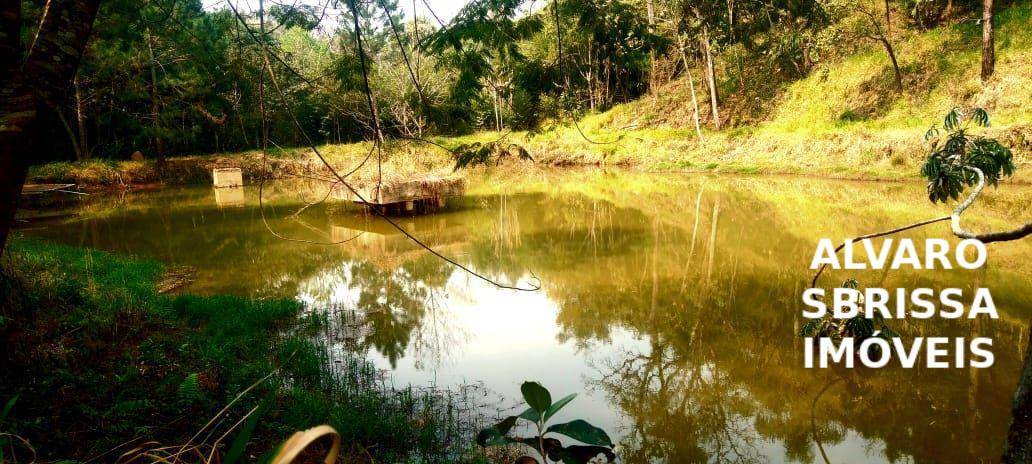 Sítio, 1 quarto, 14 hectares - Foto 31