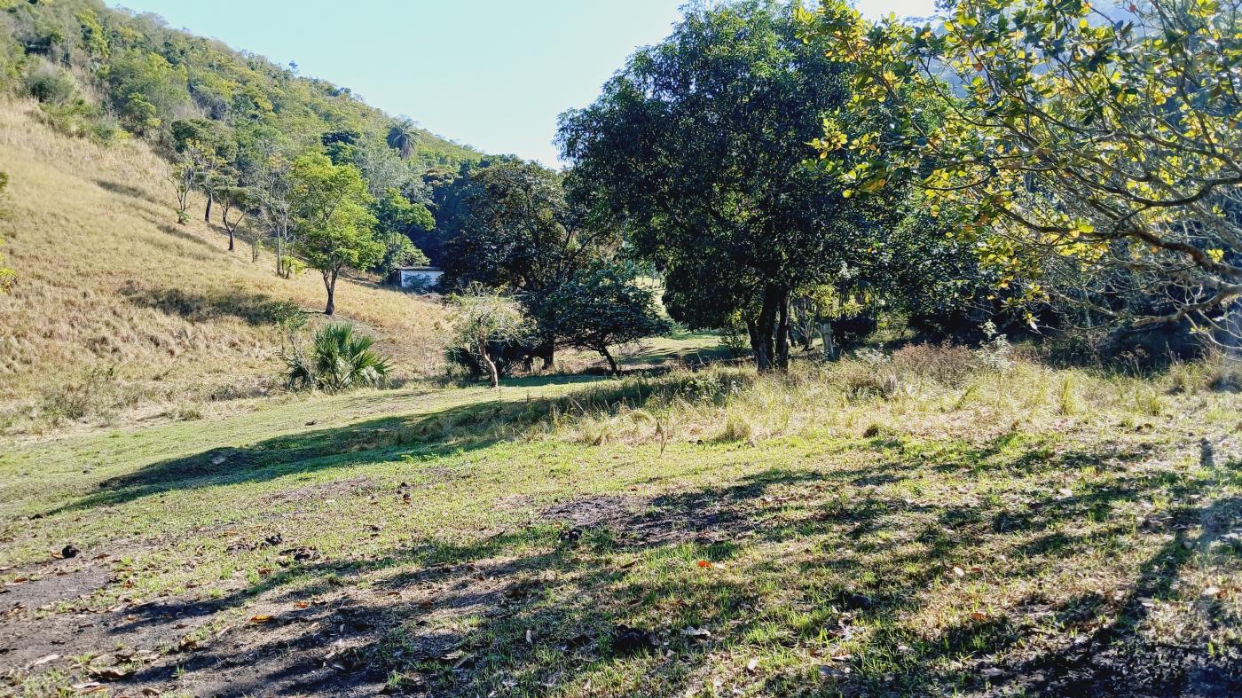 Fazenda à venda com 3 quartos, 100000m² - Foto 16