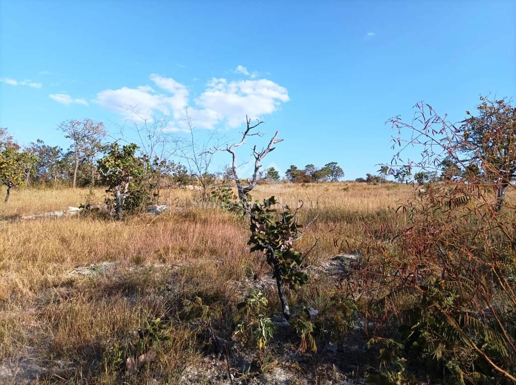 Fazenda à venda, 9m² - Foto 3