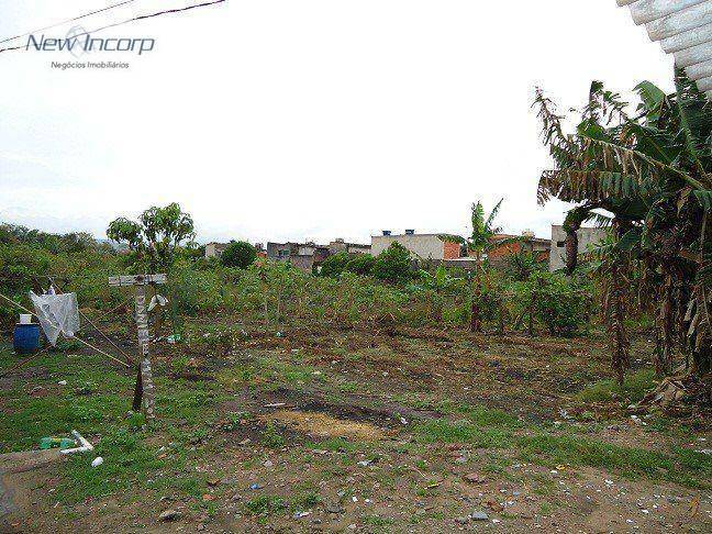 Terreno à venda e aluguel, 6000M2 - Foto 2