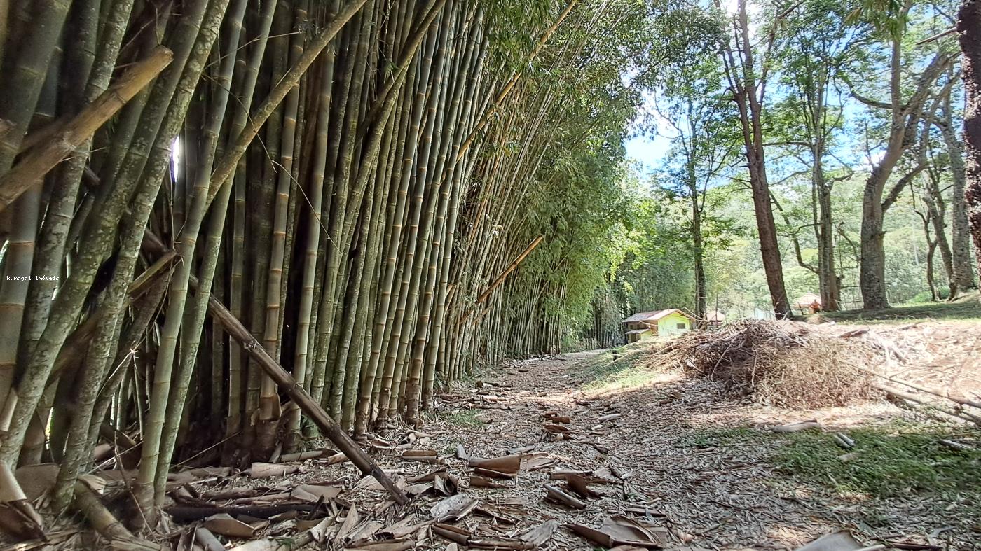 Fazenda à venda com 2 quartos, 10m² - Foto 24