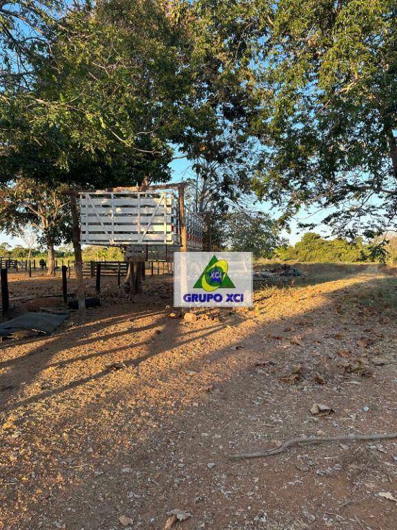 Fazenda à venda, 10120000M2 - Foto 17