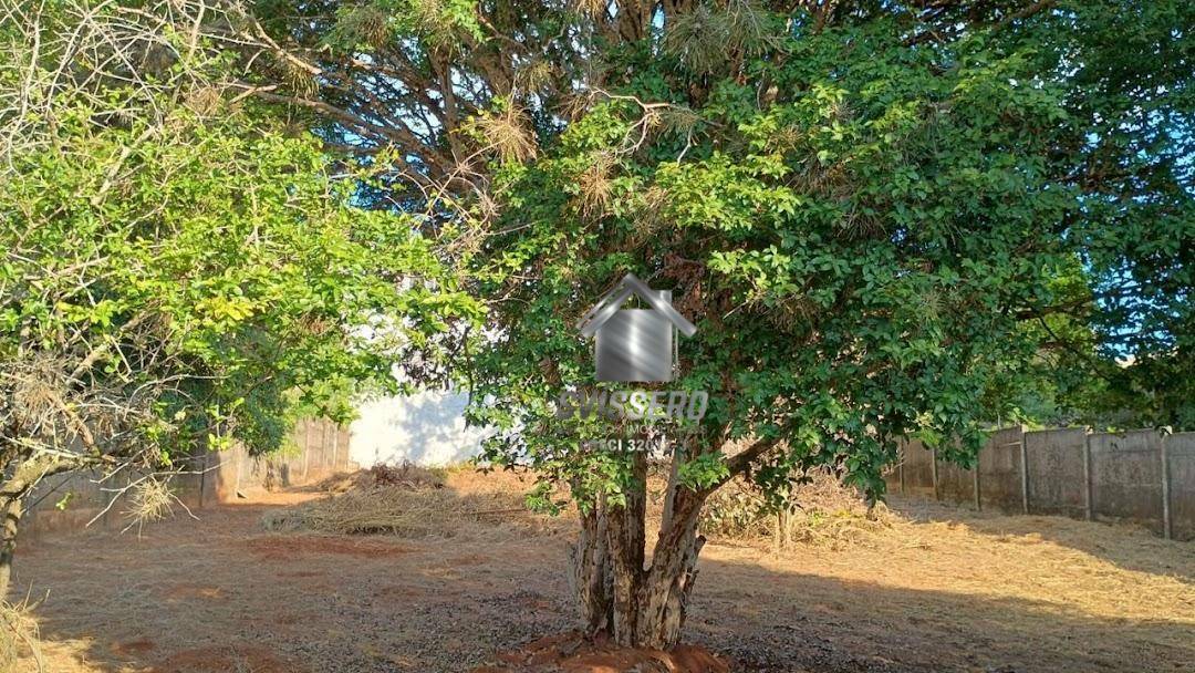 Casa, 3 quartos, 789 m² - Foto 37