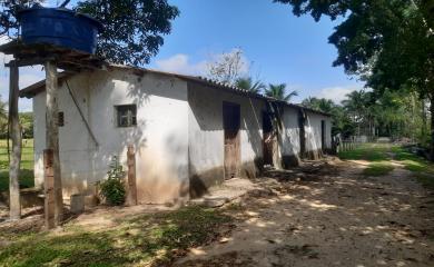 Sítio à venda com 4 quartos, 72000m² - Foto 13