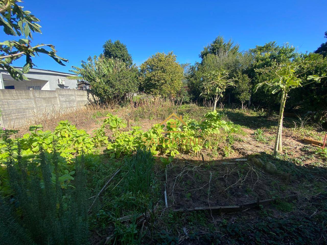 Sítio, 2 quartos, 500 m² - Foto 5