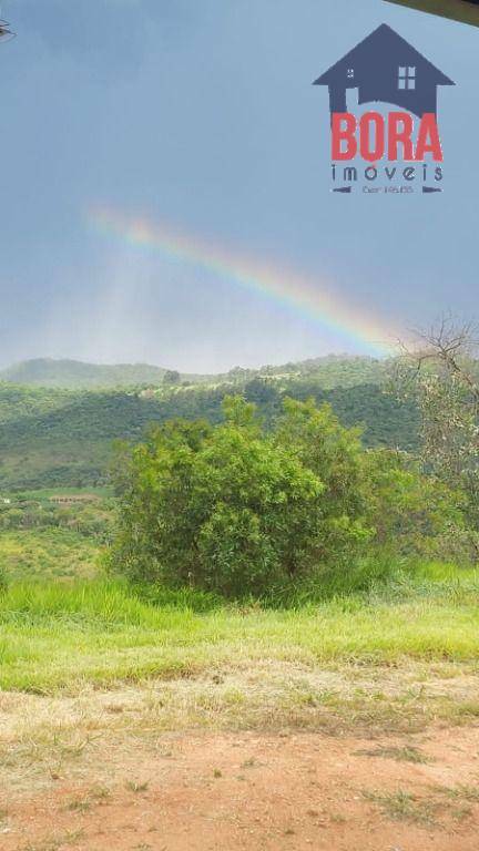 Chácara à venda com 4 quartos, 60000M2 - Foto 8