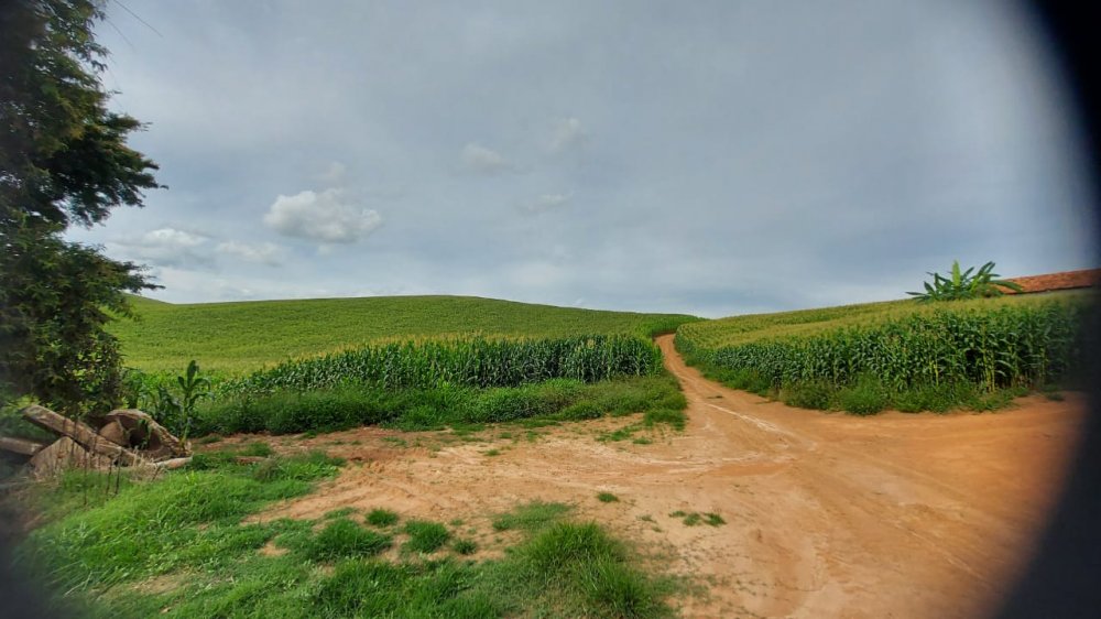 Fazenda à venda, 178m² - Foto 10