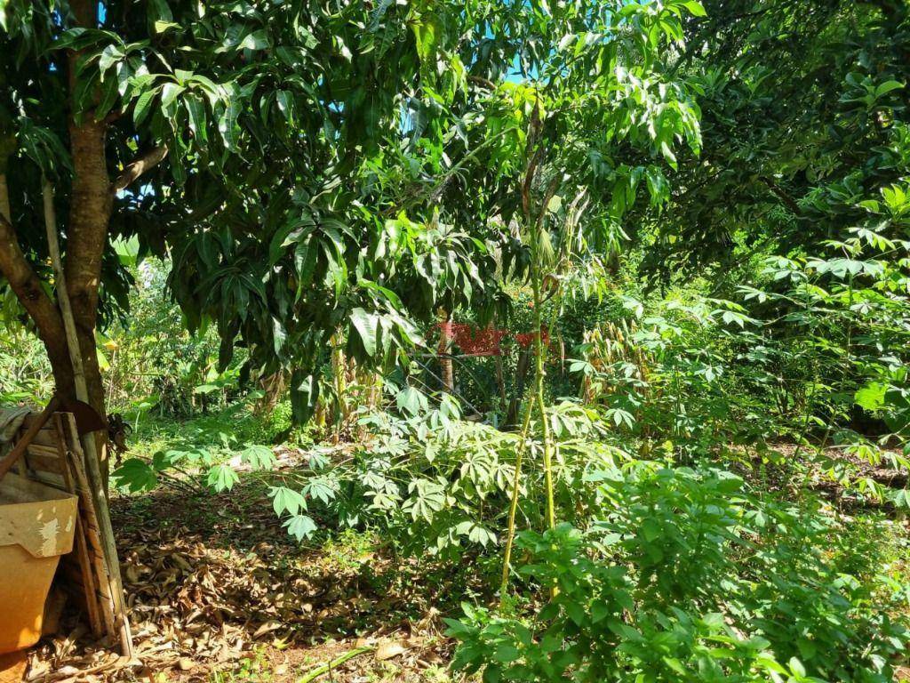 Chácara à venda com 2 quartos, 1000M2 - Foto 12
