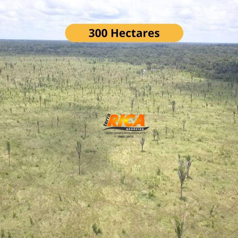 Fazenda, 300 hectares - Foto 1