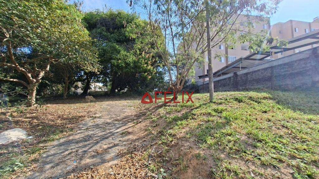 Terreno, 3493 m² - Foto 3