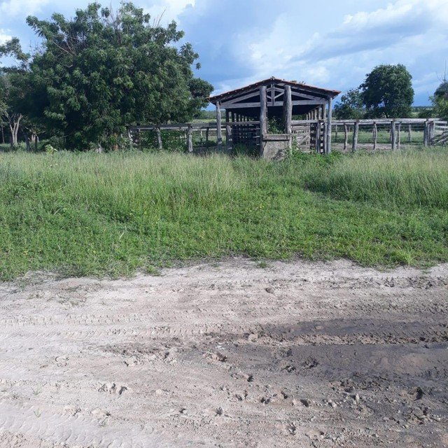 Fazenda à venda, 310000m² - Foto 7