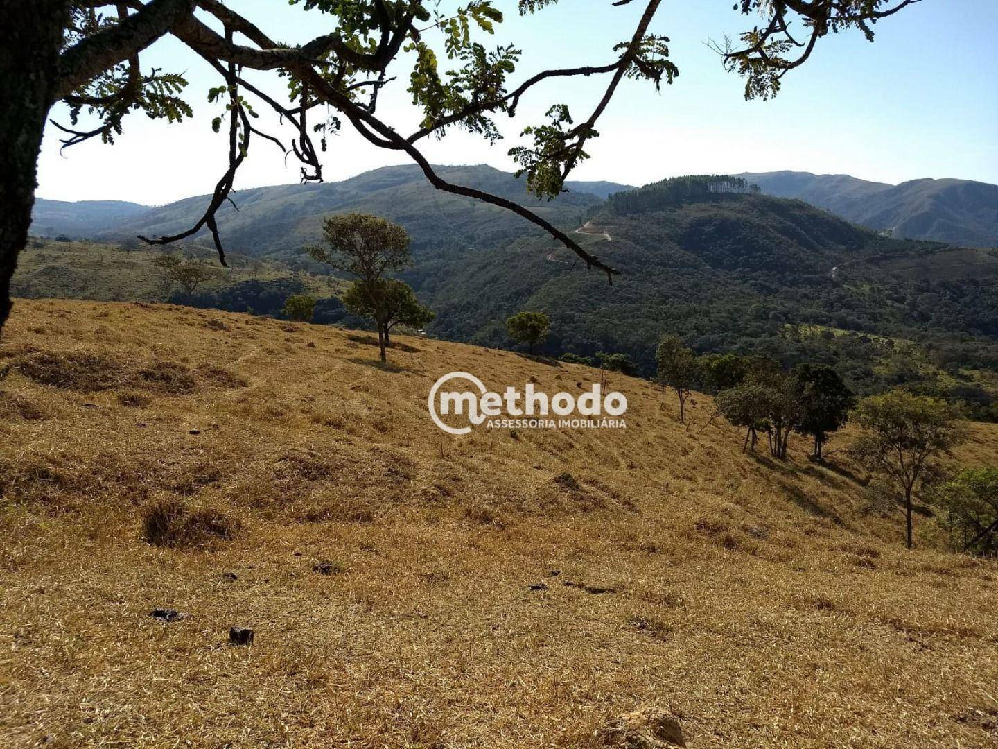 Fazenda à venda com 3 quartos, 123m² - Foto 23