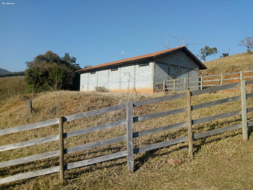 Fazenda-Sítio-Chácara, 53 hectares - Foto 2