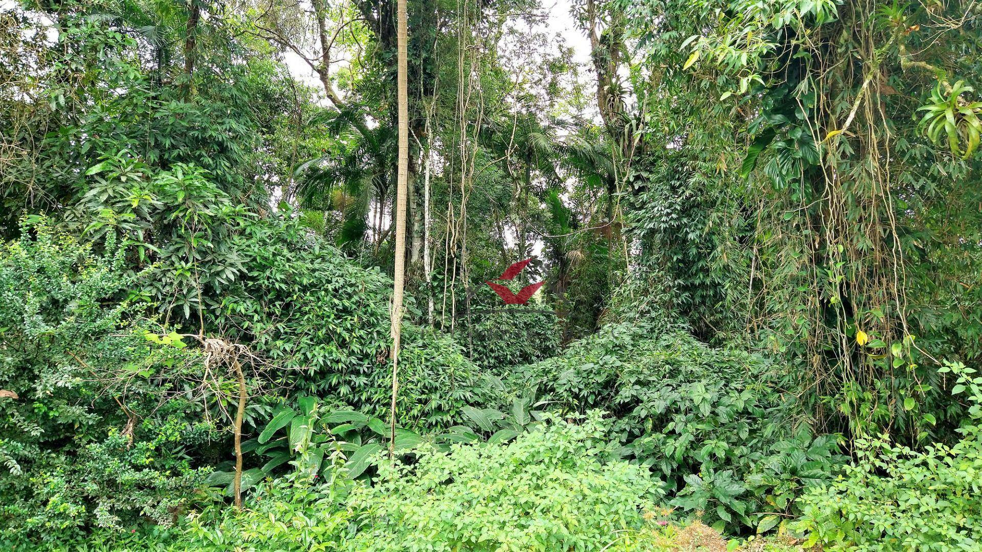 Loteamento e Condomínio à venda, 384M2 - Foto 6