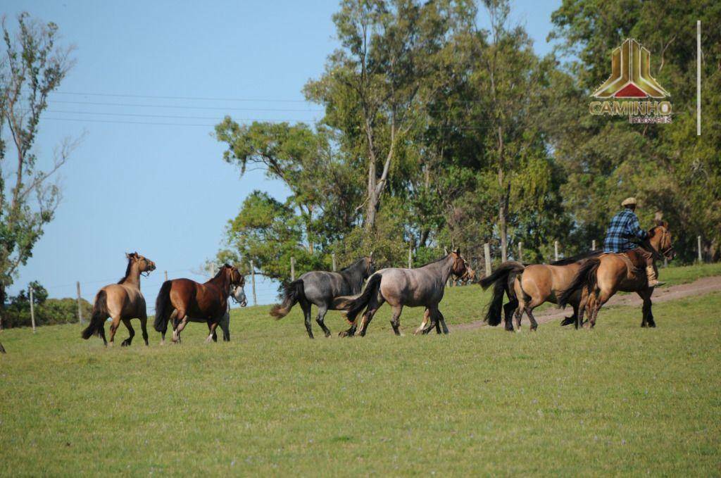 Fazenda à venda com 5 quartos, 33455000M2 - Foto 28