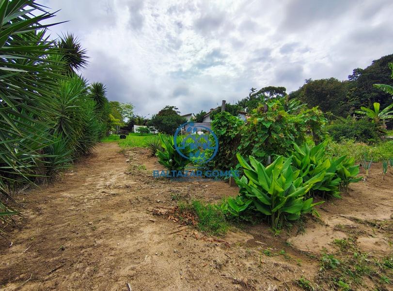 Fazenda à venda com 2 quartos, 4000m² - Foto 15