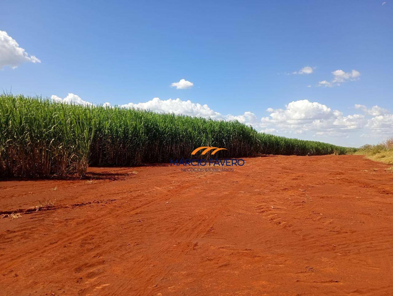 Fazenda-Sítio-Chácara, 298 hectares - Foto 16