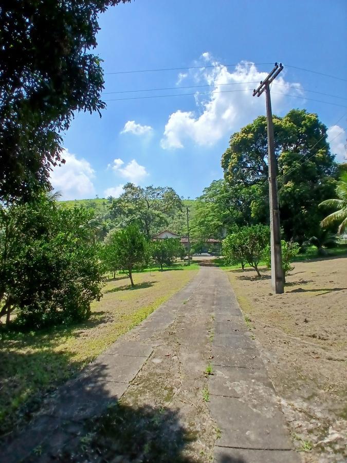 Fazenda à venda com 3 quartos, 26000m² - Foto 14