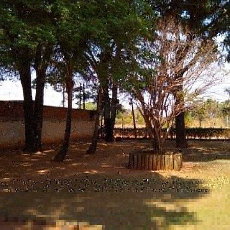 Chácara à venda - Foto 5