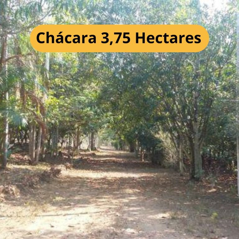 Chácara, 1 quarto, 4 hectares - Foto 1
