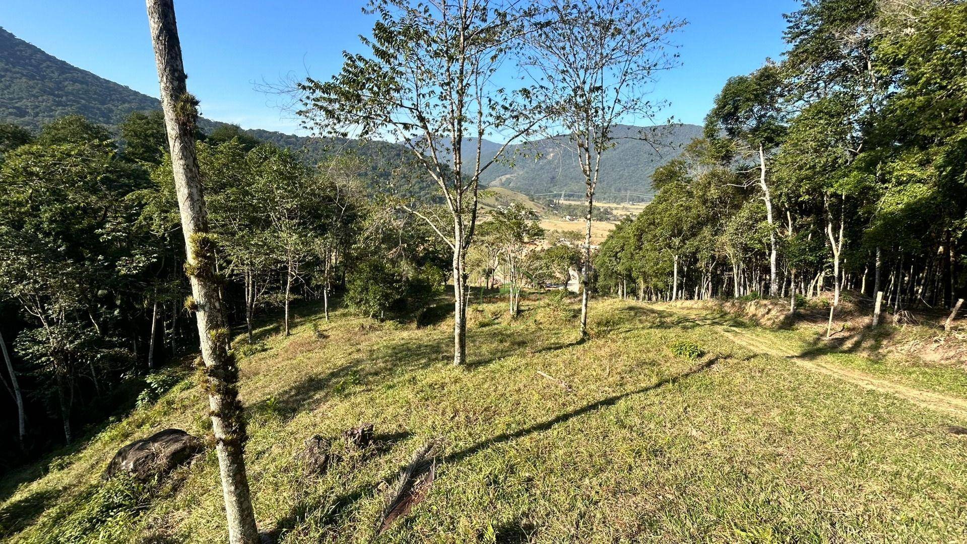 Terreno, 8800 m² - Foto 4