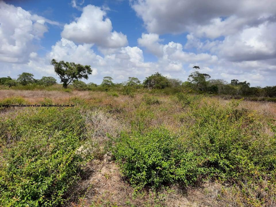 Fazenda à venda com 2 quartos, 14m² - Foto 23