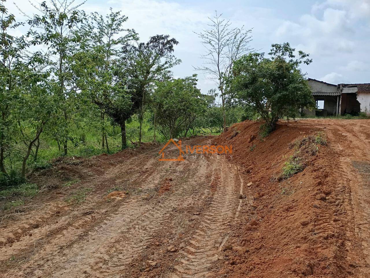 Sítio, 2 quartos, 14 hectares - Foto 1