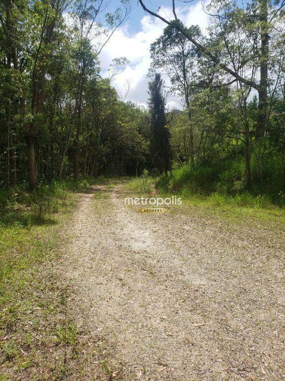 Terreno à venda e aluguel, 12000M2 - Foto 2