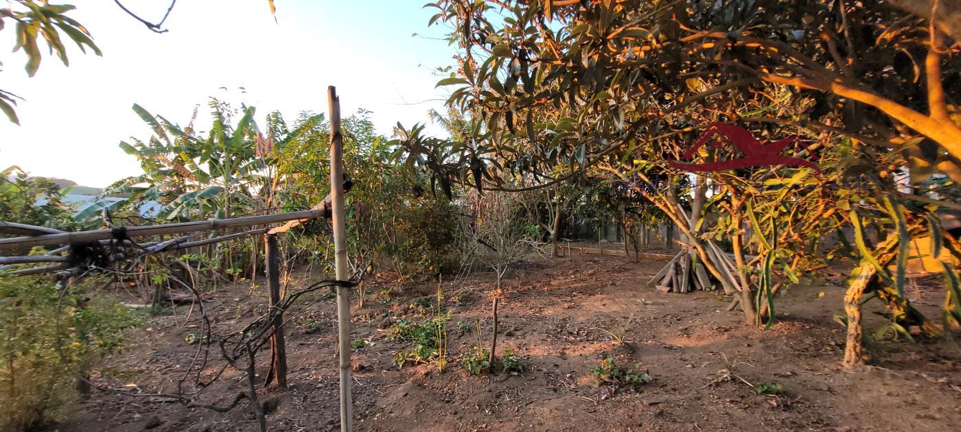 Terreno à venda, 1000m² - Foto 4