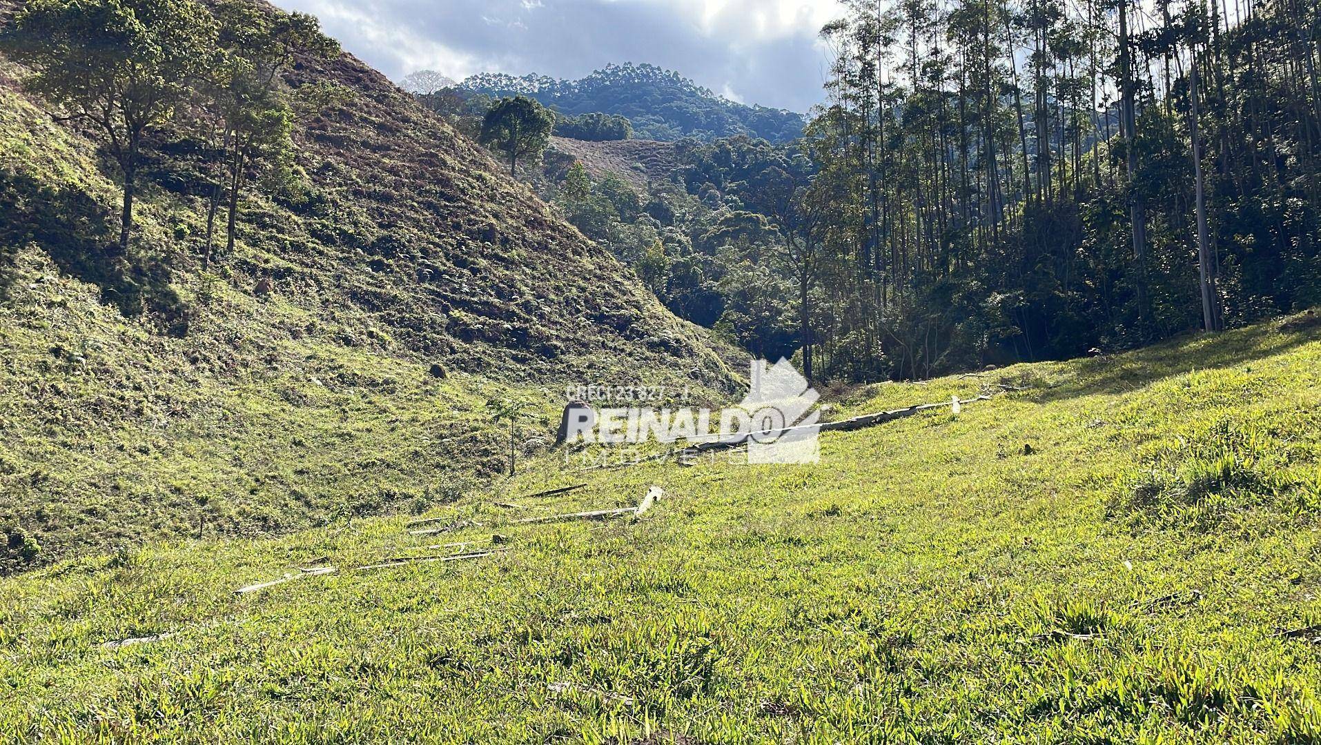 Fazenda à venda com 8 quartos, 900m² - Foto 32