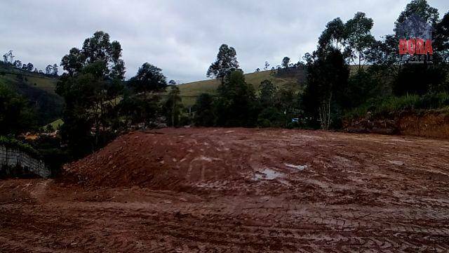 Terreno à venda, 1250M2 - Foto 3