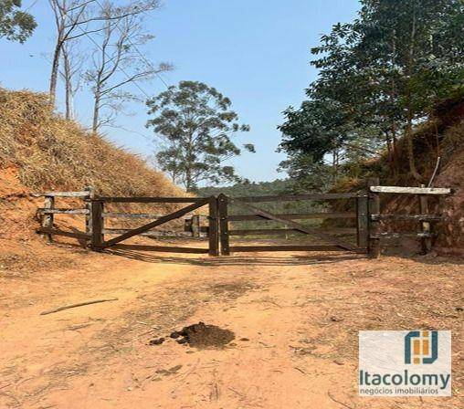 Fazenda à venda com 6 quartos, 680m² - Foto 15