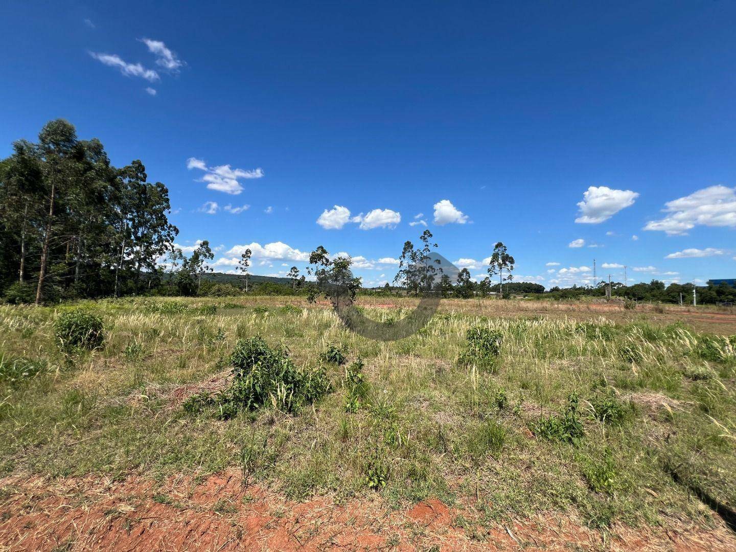 Terreno à venda, 5200M2 - Foto 3