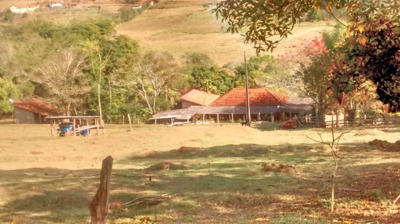 Fazenda à venda com 3 quartos, 50m² - Foto 9